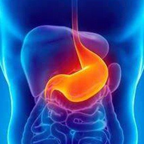 Estômago - Tratamento de gastrite, úlceras e H. Pylori