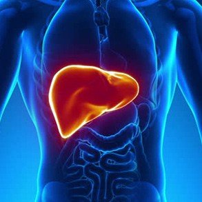 Fígado - Esteatose hepática, cirrose e hepatites